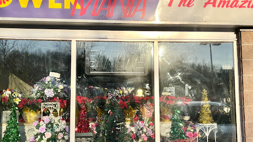 Flower Mania - Visual