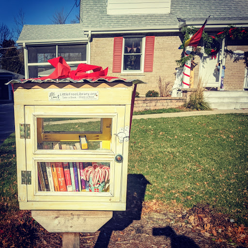 Madison Meadow Little Free Library Box Gallery - United States