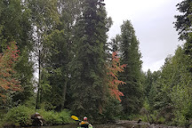Campbell Creek Greenbelt, Anchorage, United States