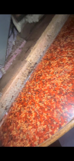 Gallery image 42