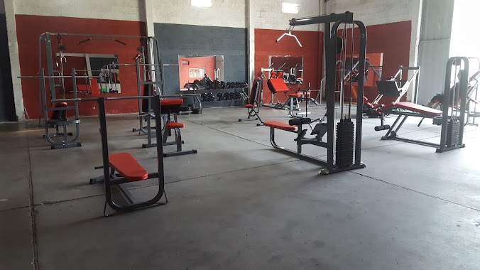 XTREME Gym, Author: Gabriel Armas