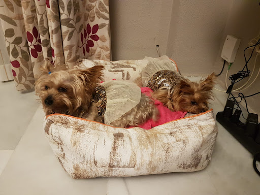 CENTRO VETERINARIO ALFACAMALEON