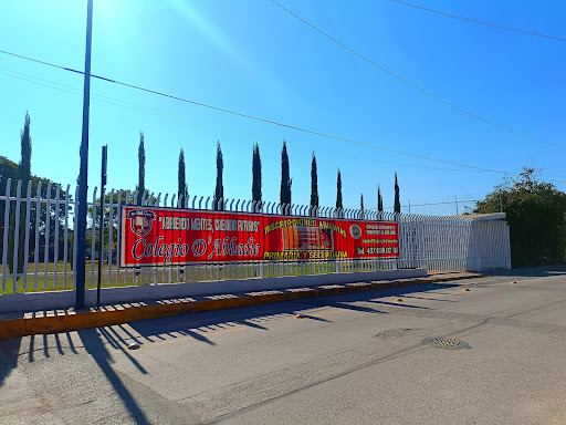 Colegio D'Abbadie - Thumbnail
