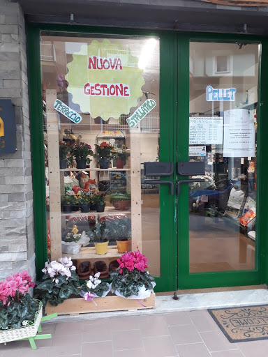 A Butega D'u Cuntadin San Giovanni
