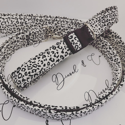 Diesel & Co. Pet Boutique - Thumbnail