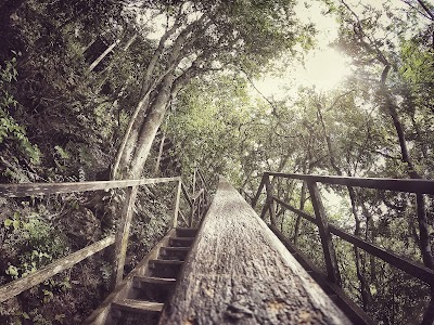 Photos of Templo IV