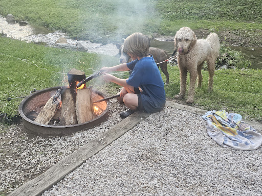 Greenbo Lake State Park Campground Gallery - United States