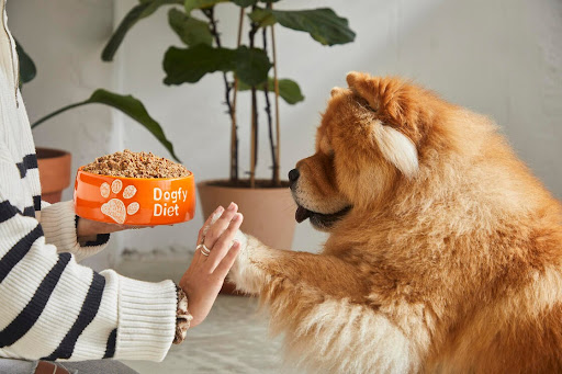 Dogfy Diet - Thumbnail