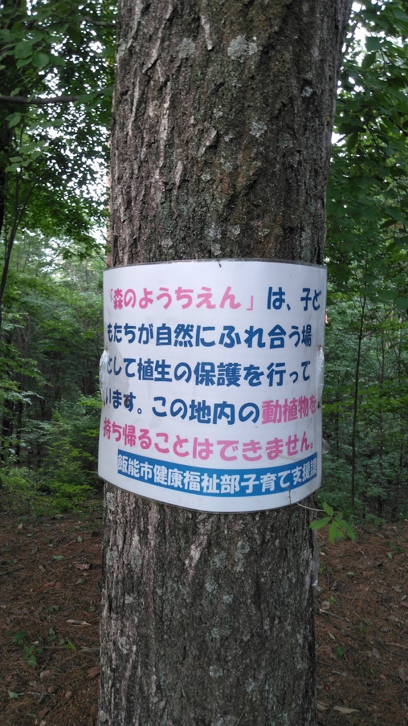 森のようちえん