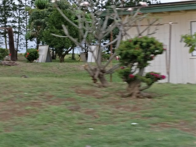 South Point Park