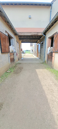 Area Equestrian Du Nivernais - Thumbnail