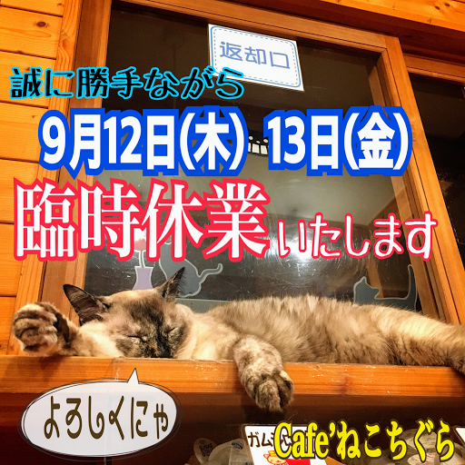 猫カフェ Cafe ねこちぐら カフェテリア