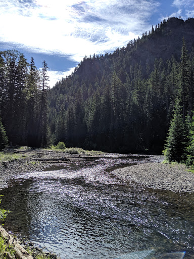 Salmon Cove Group Site Gallery - United States
