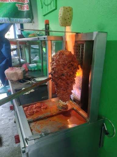 Tacoste