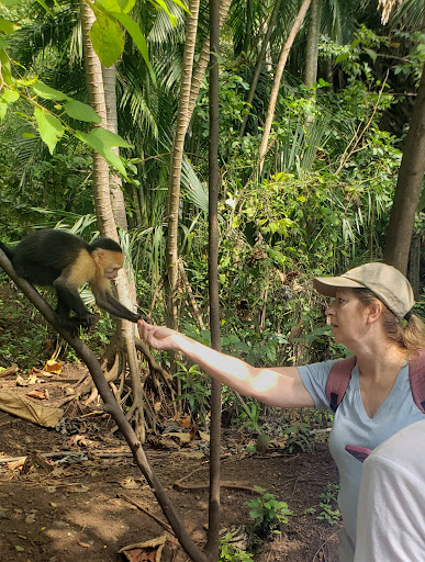Monkey place - Visual