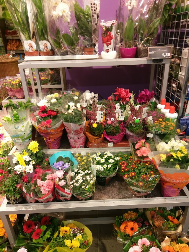 Edeka Kudwin