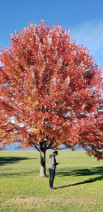 Danbury Town Park