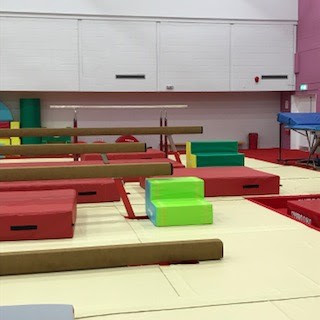 South Essex Gymnastics Club - Thumbnail