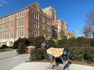university