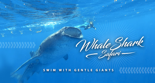 Private Tours by The Custom Tour Riviera Maya