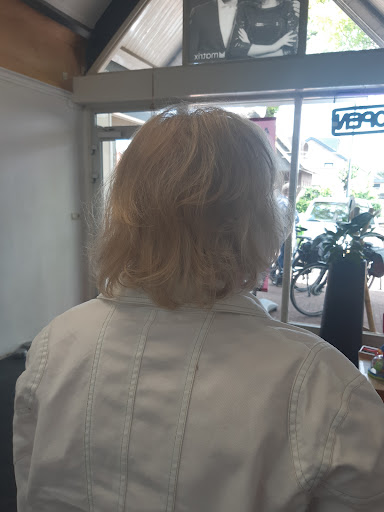 Kapsalon staphorst - Visual