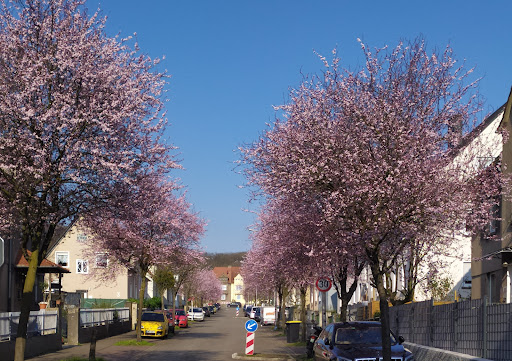 Beethovenstr., Völklingen Gallery - Germany