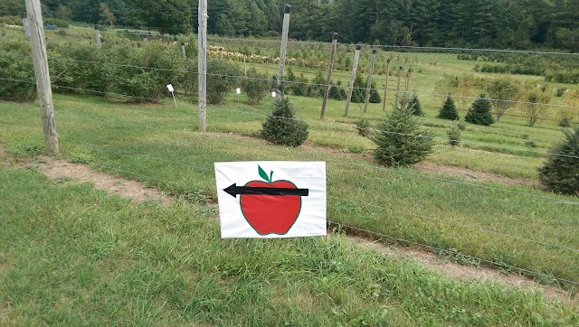Windy Hill Farm