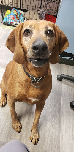 Polo Animal Hospital