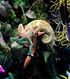 Photo n°6 de Les Barbiers du Port à Carqueiranne (Salon de coiffure)