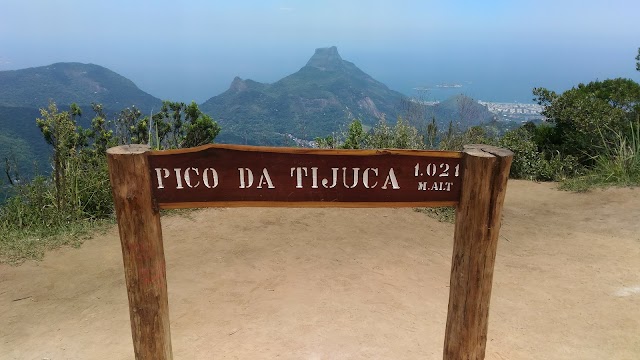 Pico da Tijuca