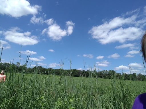 Lakeview Nature Center - Thumbnail