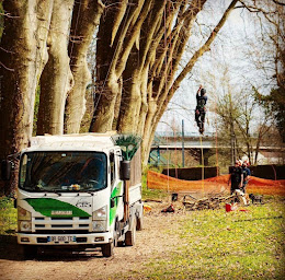 Photo n°12 de CTS Élagage | Abattage - Élagage - Taille Raisonnée à Pau (Service d'élagage)