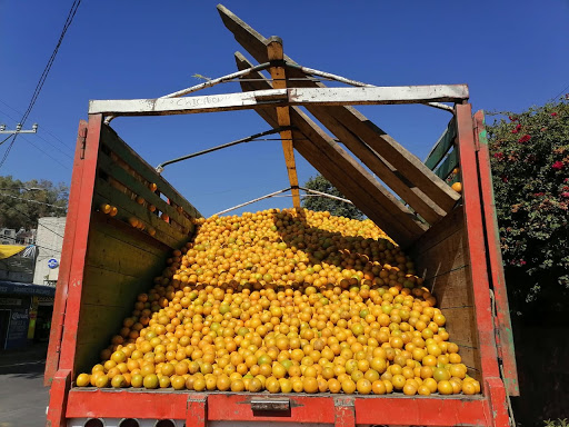 Bodega De Naranjas SAN GREGORIO - Thumbnail
