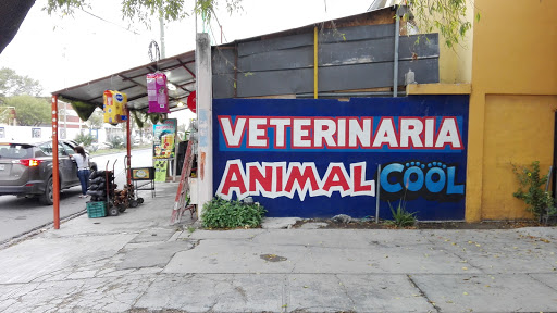 AnimalCool - Visual