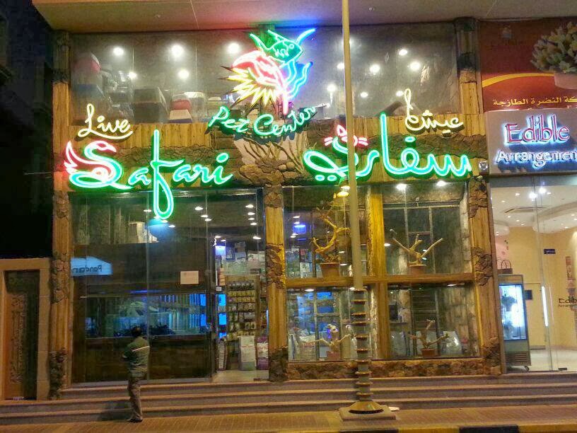 عيش سفاري - صورة 2