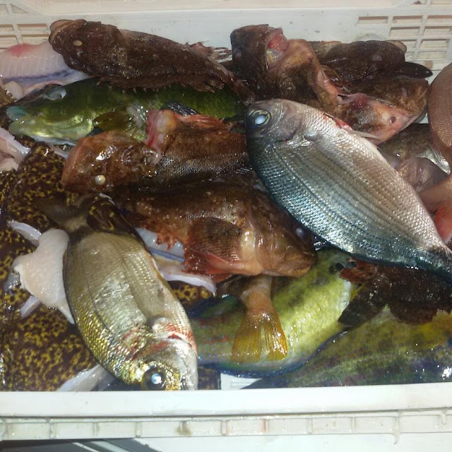 Trattoria Turiddu