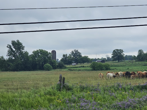 Town Of Greater Napanee - Thumbnail