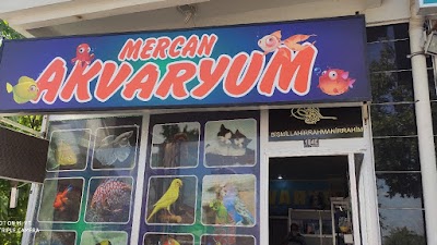 Mercan Akvaryum