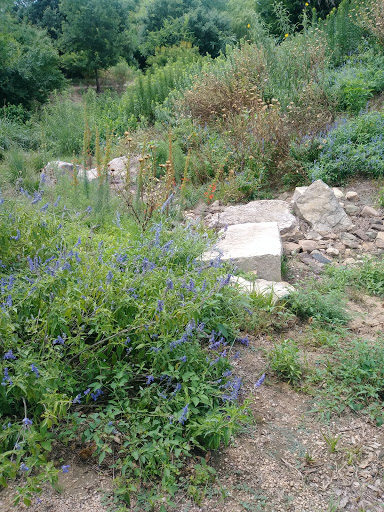 Native Texas Park - Visual