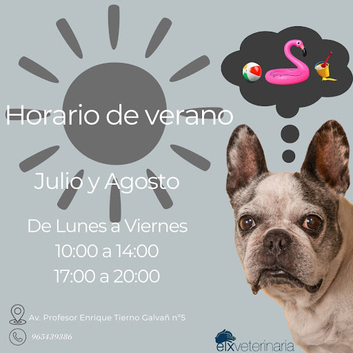 Clínica veterinaria Elxveterinaria