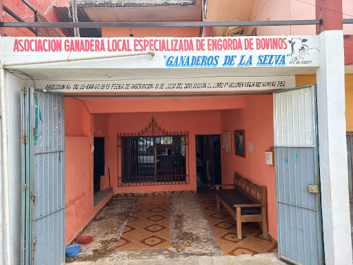ASOCIACION GANADERA LOCAL ESPECIALIZADA DE ENGORDA DE BOVINOS GANADEROS DE LA SELVA - Thumbnail