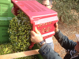 Photo n°22 de Bastide de Fave à Brue-Auriac (Établissement vinicole)