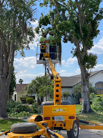 Rental World of St. Cloud