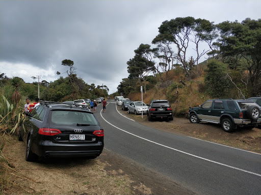 Lake Wainamu Car Park& Entrance - Thumbnail