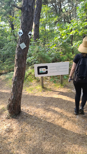 Pilgrim Spring Conservation Area Gallery - United States