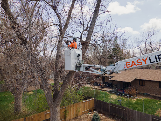 ArborCo Tree Care