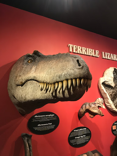 Big Valley Creation Science Museum - Thumbnail