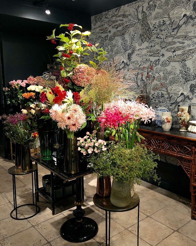 BOYA - Fleurs & Maison