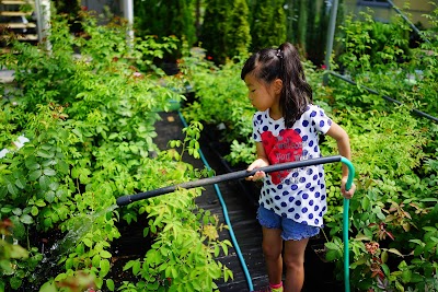 苗木部 By 花ひろばオンライン