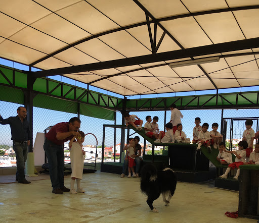 Hospital Veterinario Chapultepet's